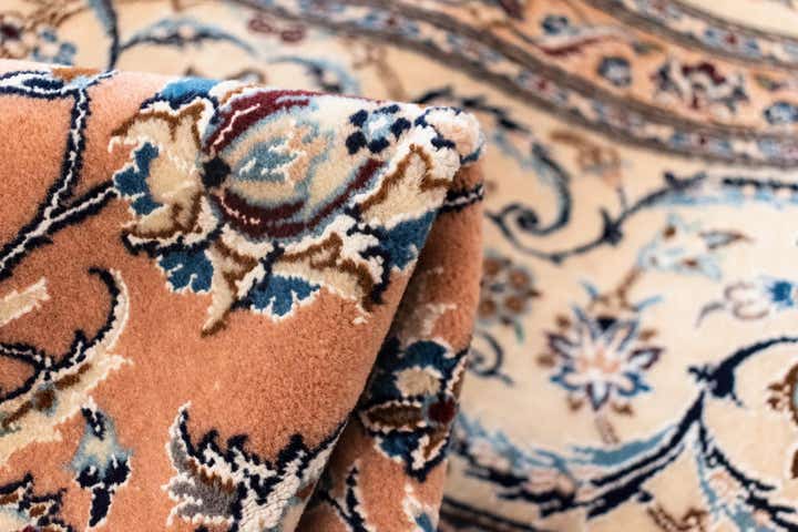 5' 2 x 9' 1 Nain Rug