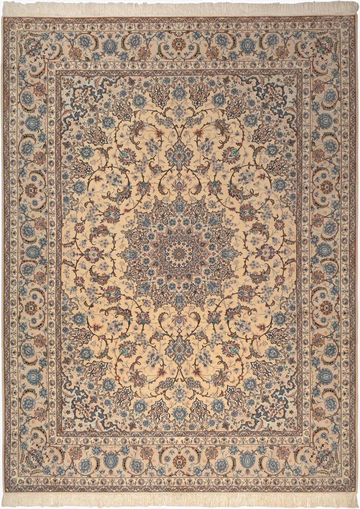8' 9 x 11' 9 Nain Rug