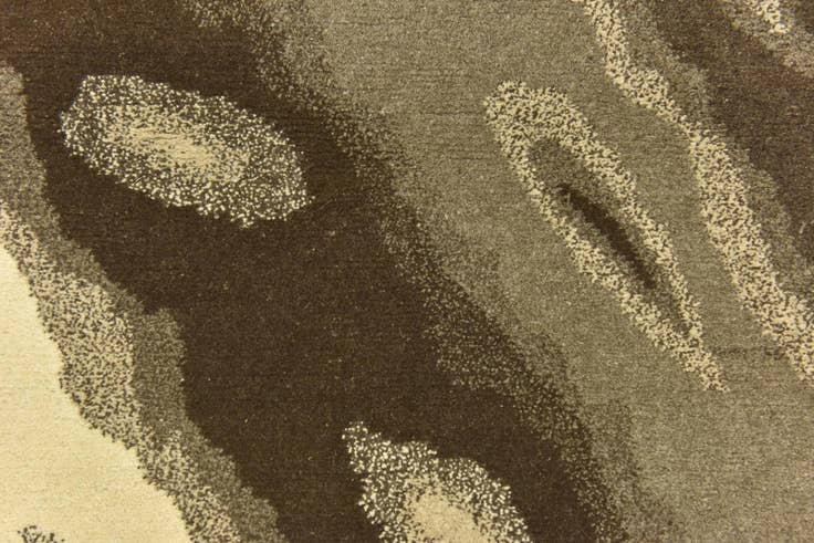 Detail image of 4' x 6' Hand Knotted Nepal Wool Rug