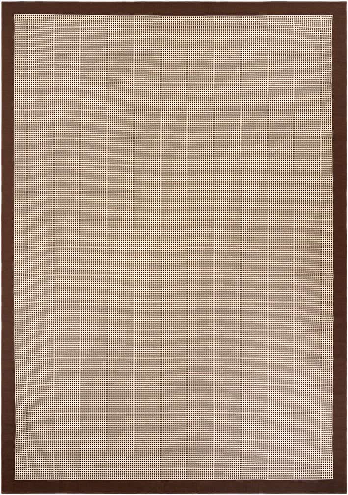 10' x 14' Easy-Clean Border Indoor / Outdoor Rug