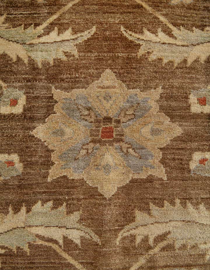 16' 10 x 21' 4 Hand Knotted Peshawar Ziegler Rug