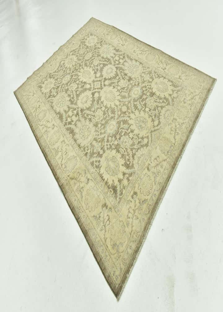 6' 6 x 9' 5 Hand Knotted Peshawar Ziegler Rug