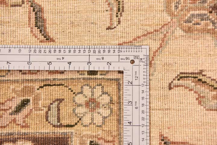 9' x 11' 6 Hand Knotted Peshawar Ziegler Rug