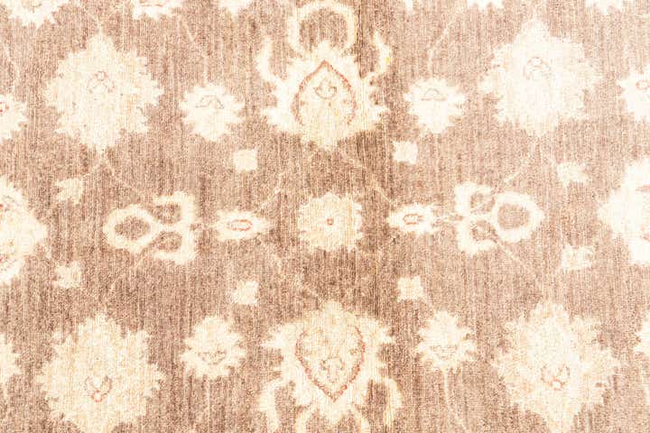 3' 3 x 4' 10 Hand Knotted Peshawar Ziegler Rug