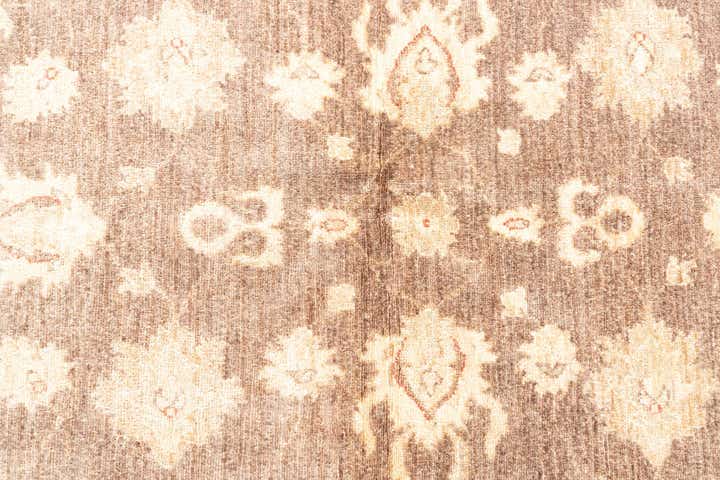 3' 3 x 4' 10 Hand Knotted Peshawar Ziegler Rug