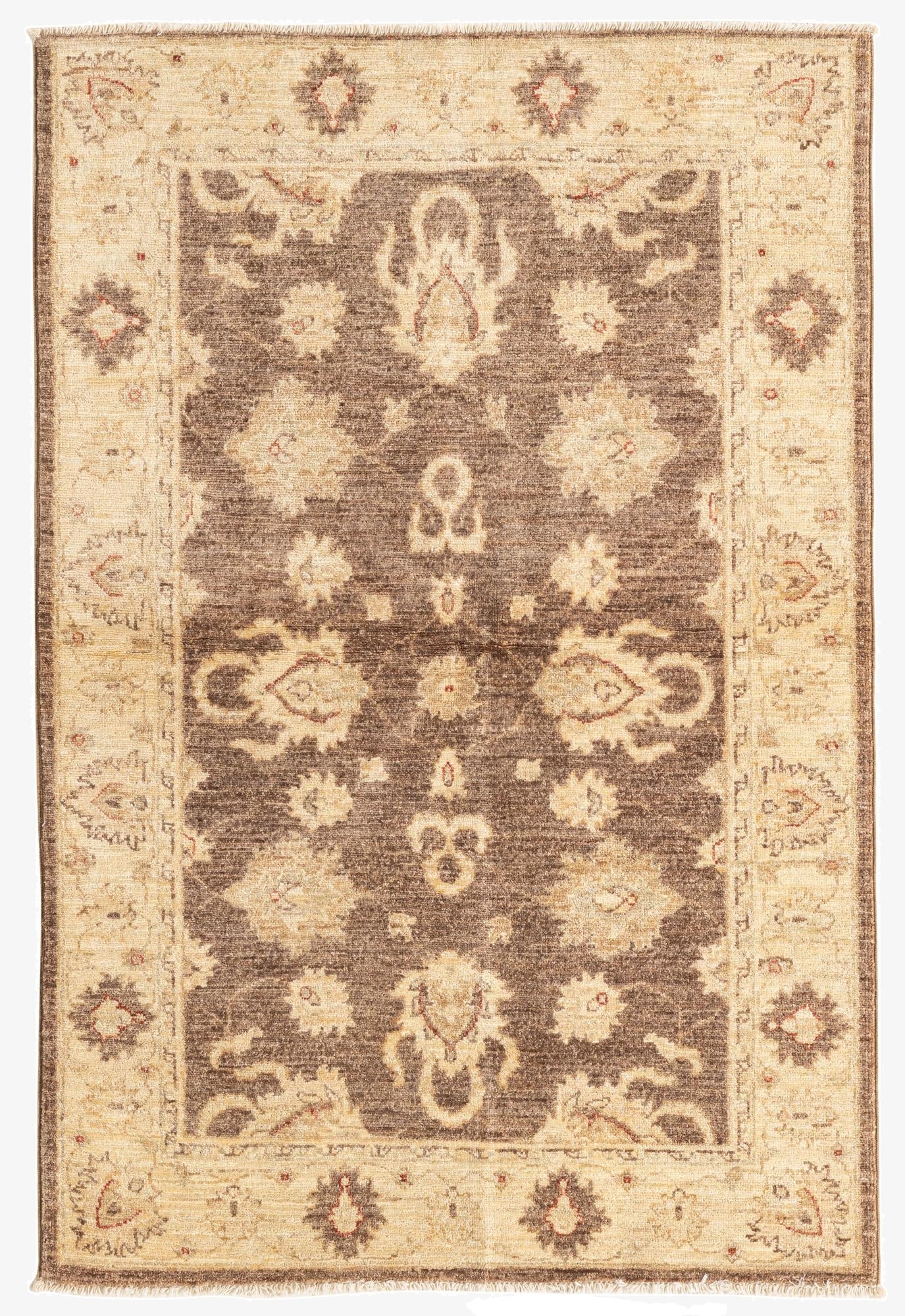 3' 3 x 4' 10  Hand Knotted Peshawar Ziegler Rug
