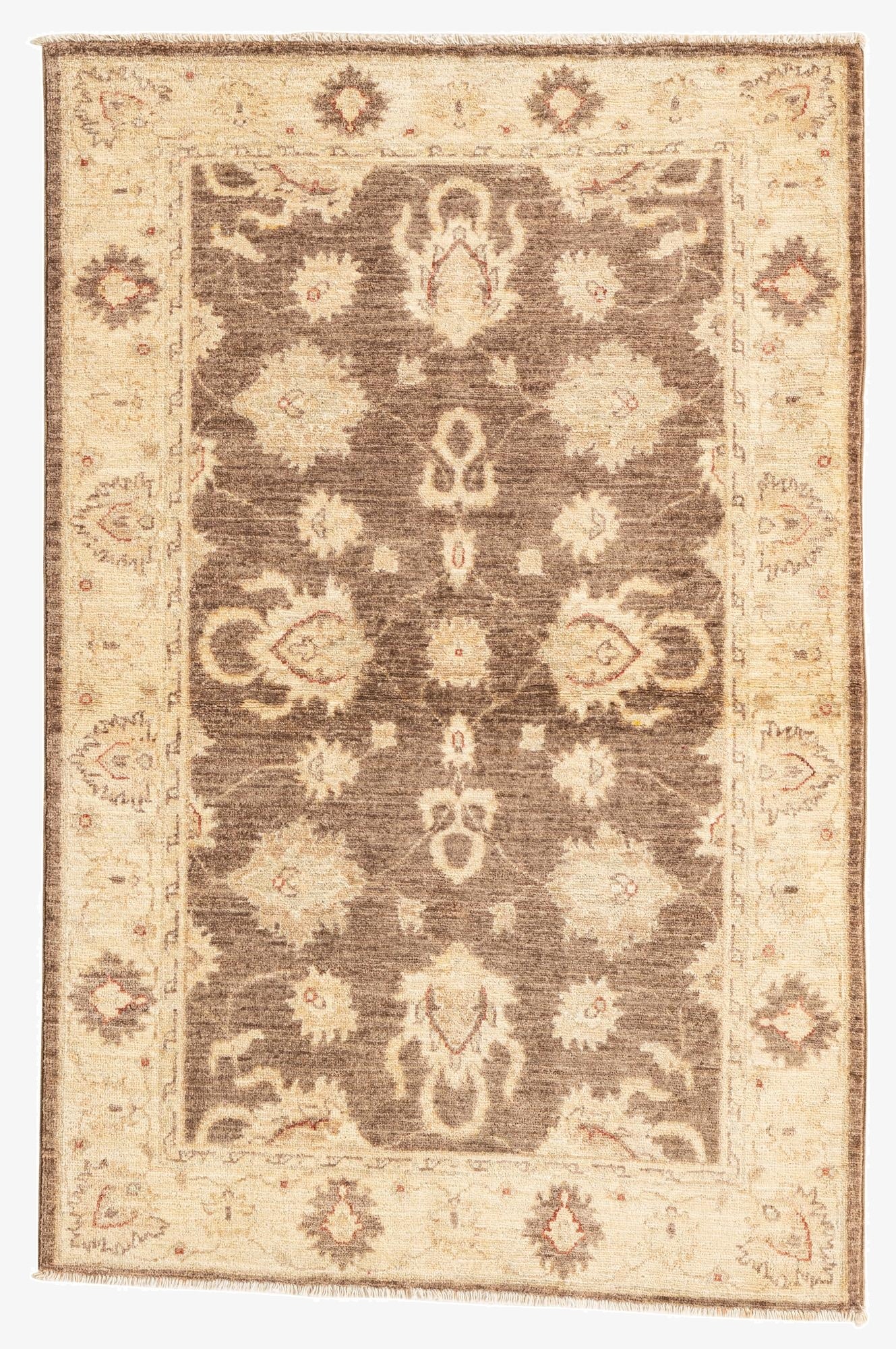 3' 3 x 4' 10  Hand Knotted Peshawar Ziegler Rug