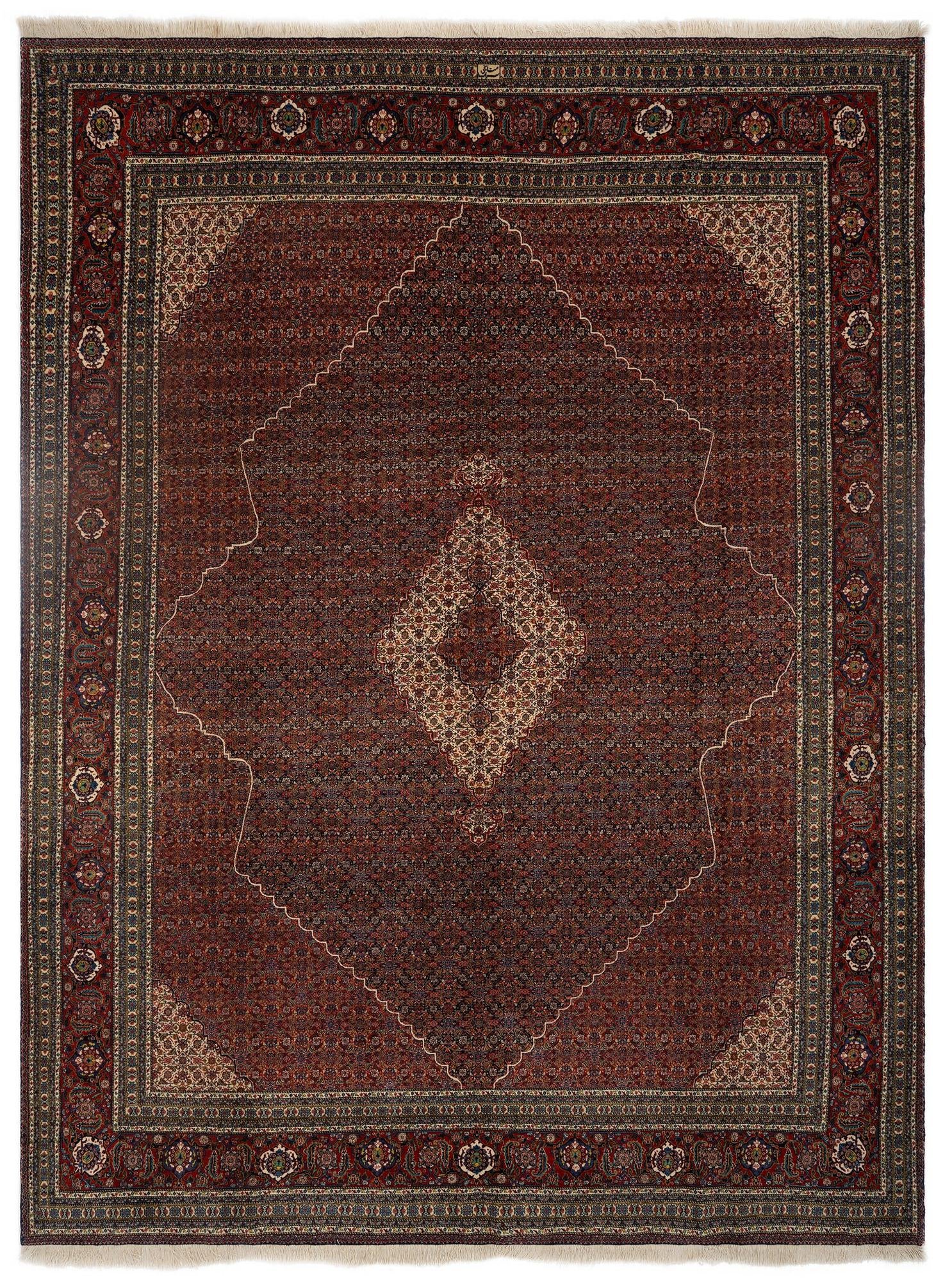 9' 8 x 12' 6 Sarab Mahshabi Wool Rug
