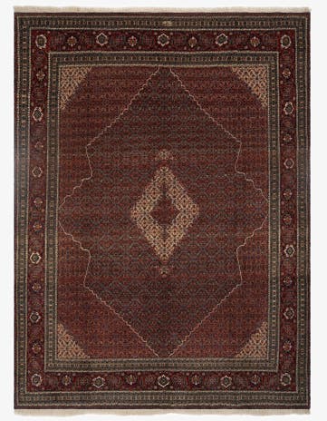9' 8 x 12' 6 Sarab Mahshabi Wool Rug