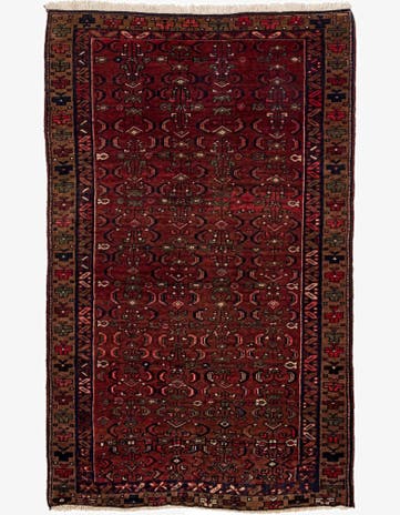 3' 11 x 6' 6 Saudjboulag Rug