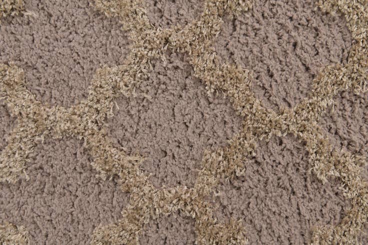 Detail image of 5' x 7' 8 Trellis Shag Rug