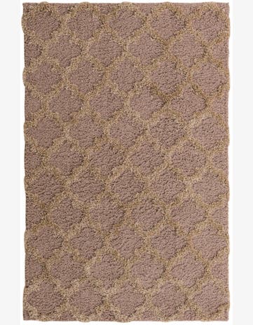 5' x 7' 8 Trellis Shag Rug