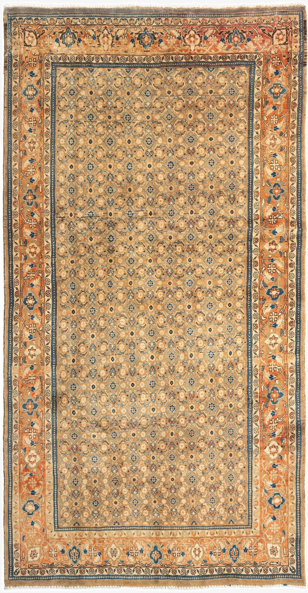 5' 3 x 10' 8 Arak Wool Runner Rug
