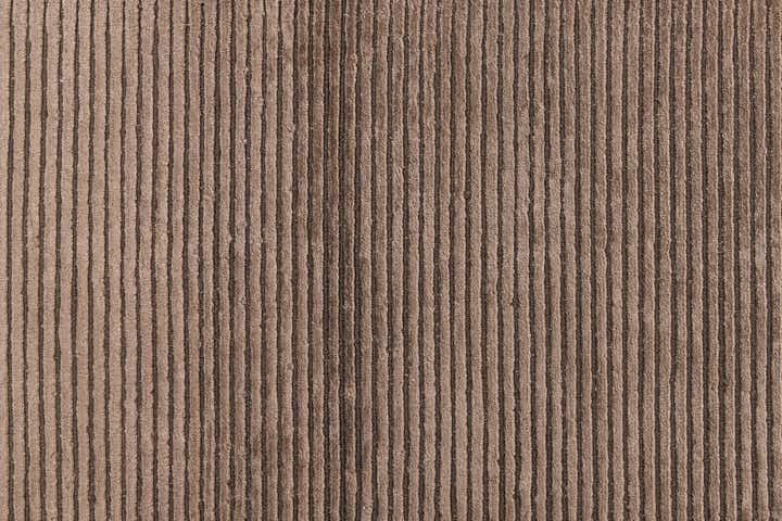 2' 7 x 9' 9 Darya Runner Rug