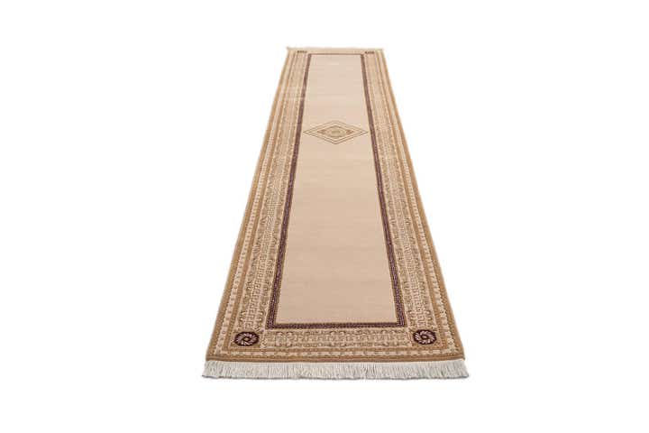 2' 8 x 13' 1 Darya Runner Rug