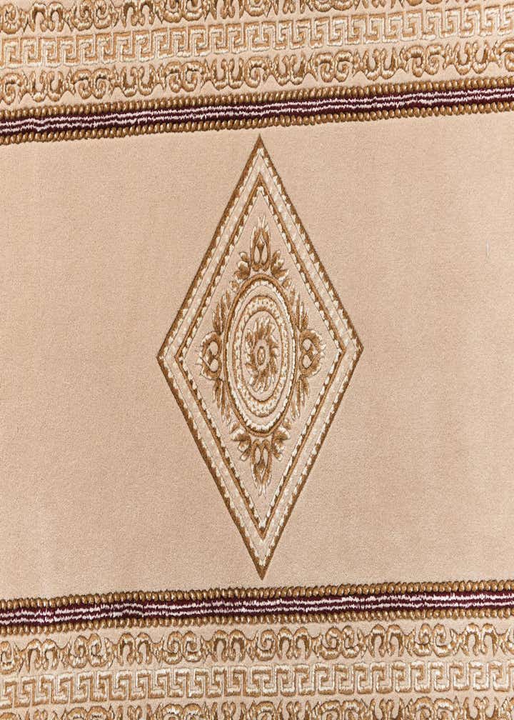 2' 8 x 13' 1 Darya Runner Rug