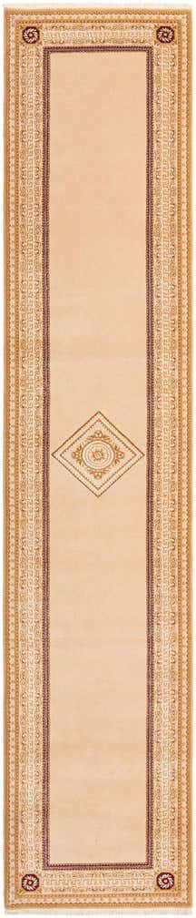 2' 8 x 13' 1 Darya Runner Rug
