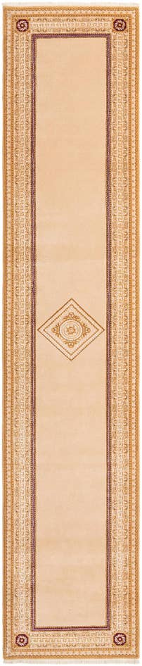 Detail image of 2' 8 x 13' 1 Darya Runner Rug
