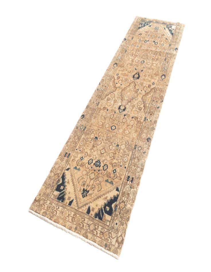 Detail image of 3' x 9' 9 Hamedan Runner Rug