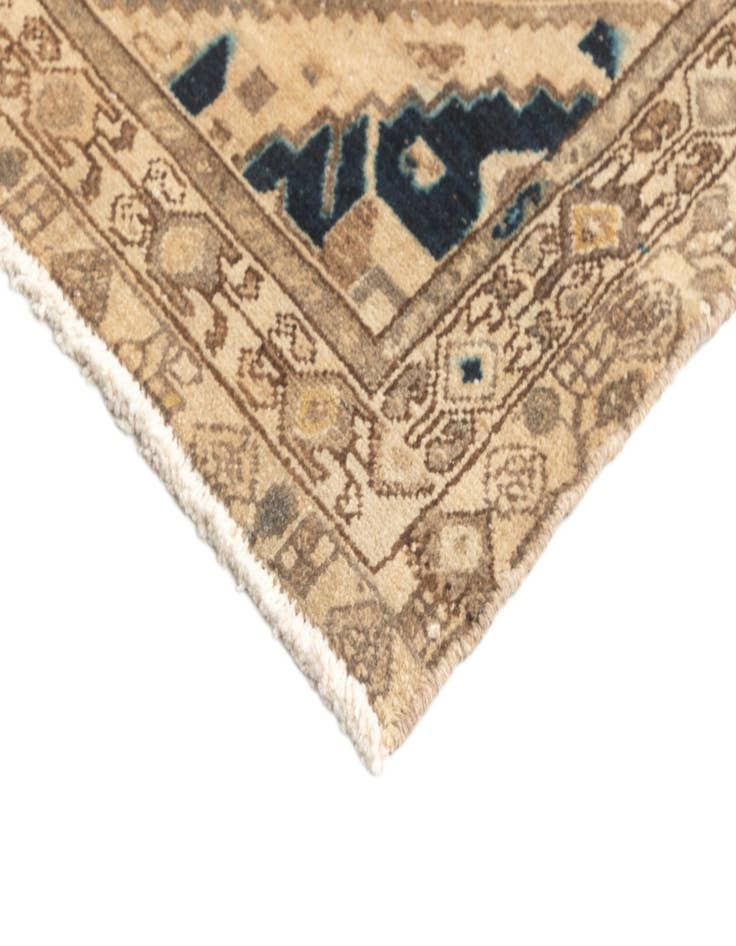 Detail image of 3' x 9' 9 Hamedan Runner Rug