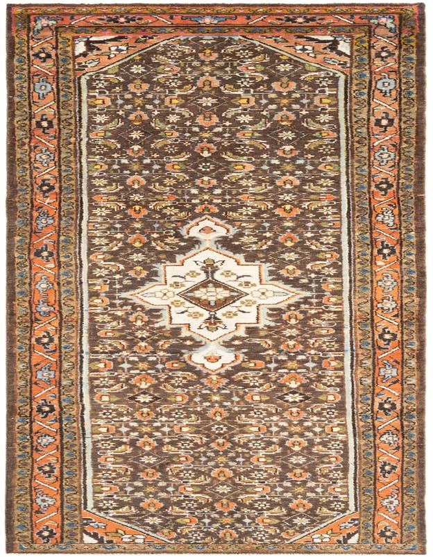 Detail image of 3' 2 x 10' 2 Hamedan Runner Rug