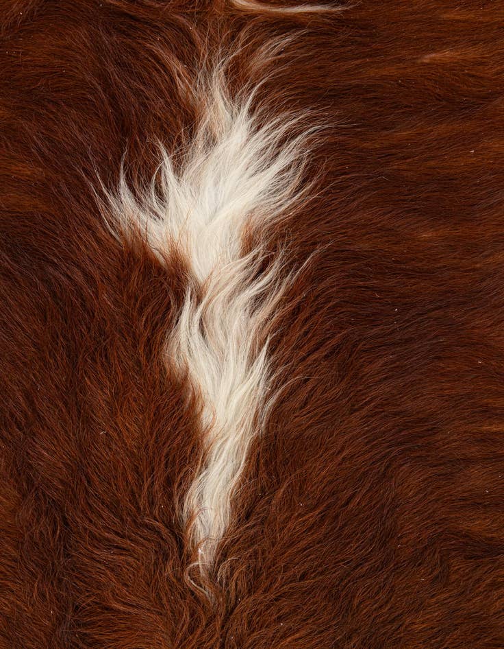 Detail image of 4' 11 x 5' 1 Cowhide Leather Square Rug