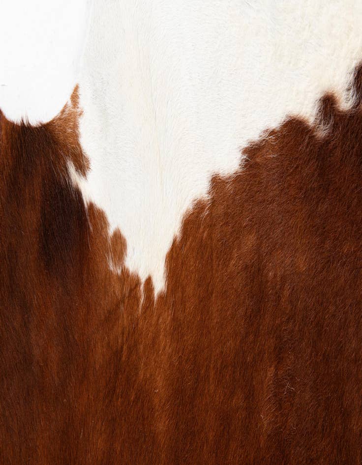 Detail image of 6' 5 x 6' 11 Cowhide Leather Square Rug