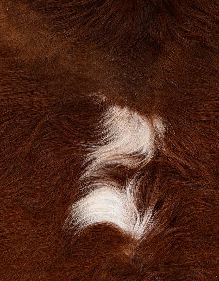 Detail image of 6' 5 x 7' Cowhide Leather Square Rug