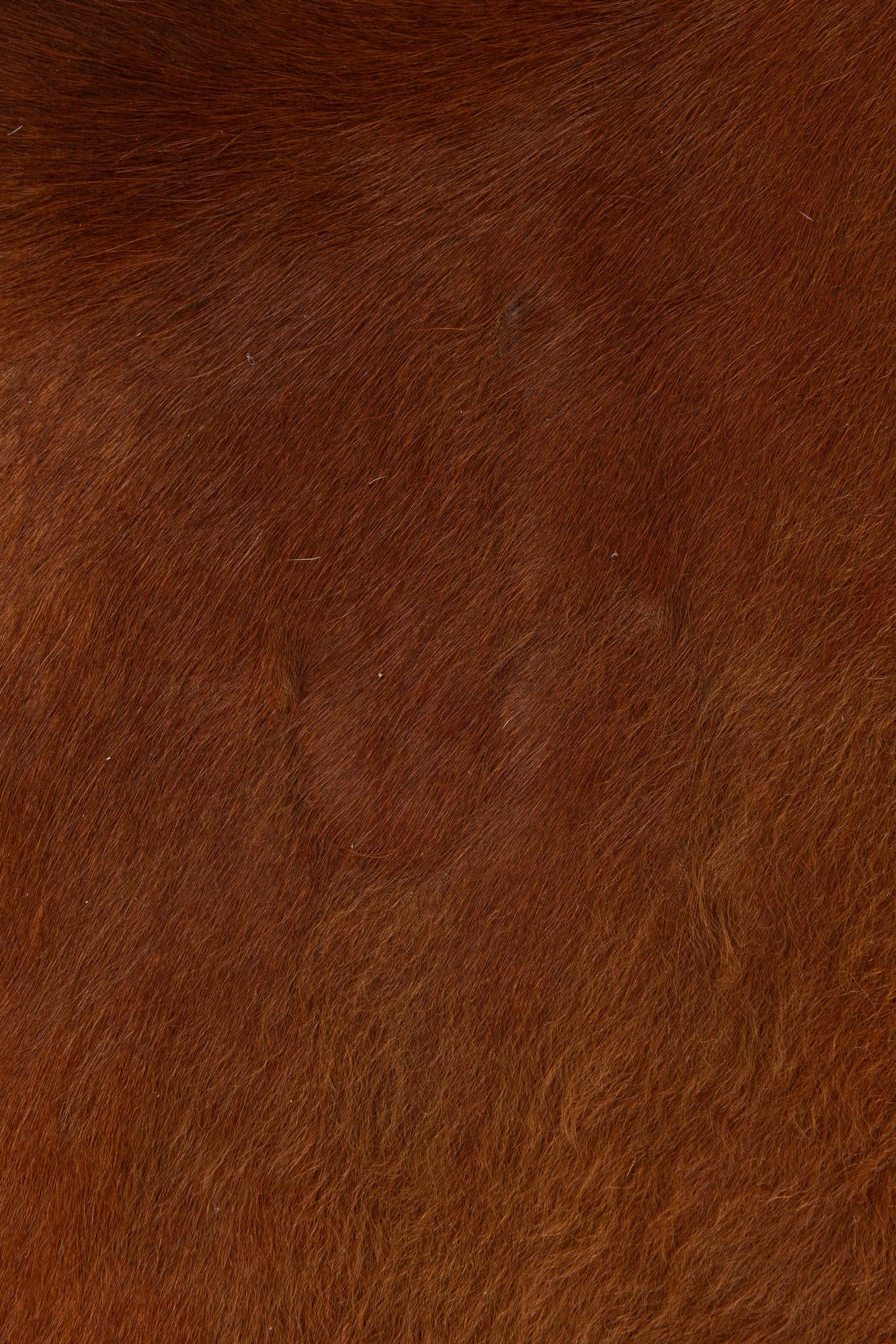 6' 4 x 6' 5 Cowhide Leather Square Rug
