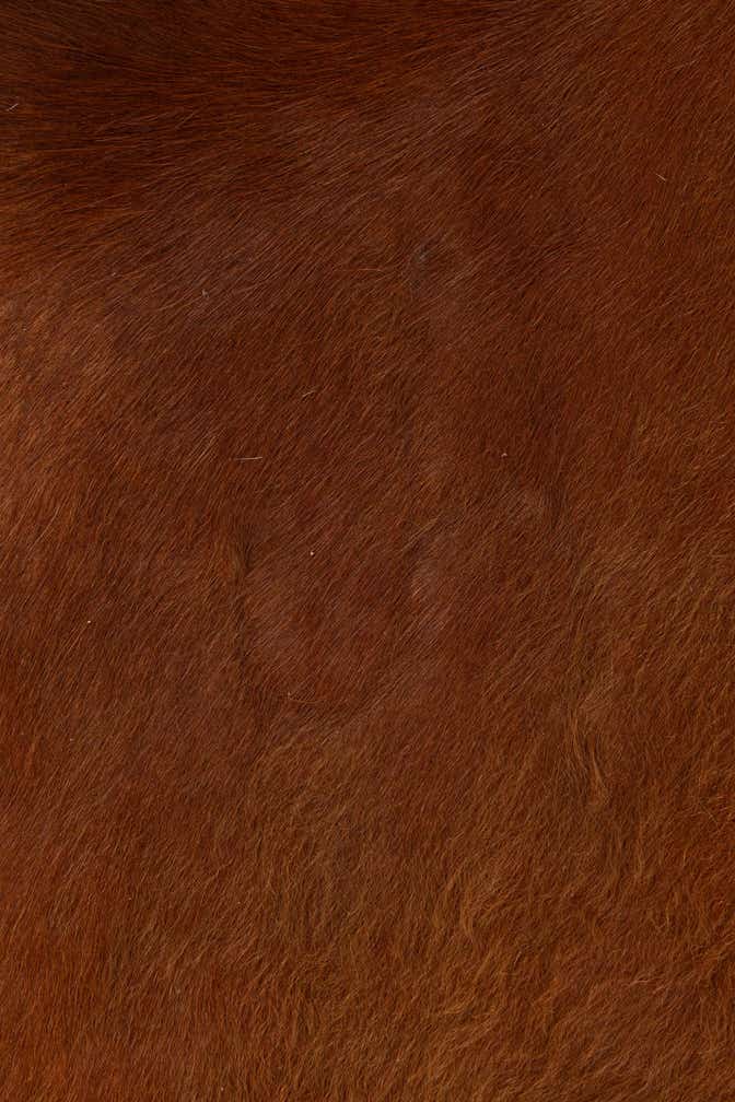 195cm x 195cm Cowhide Leather Quadrat Teppich