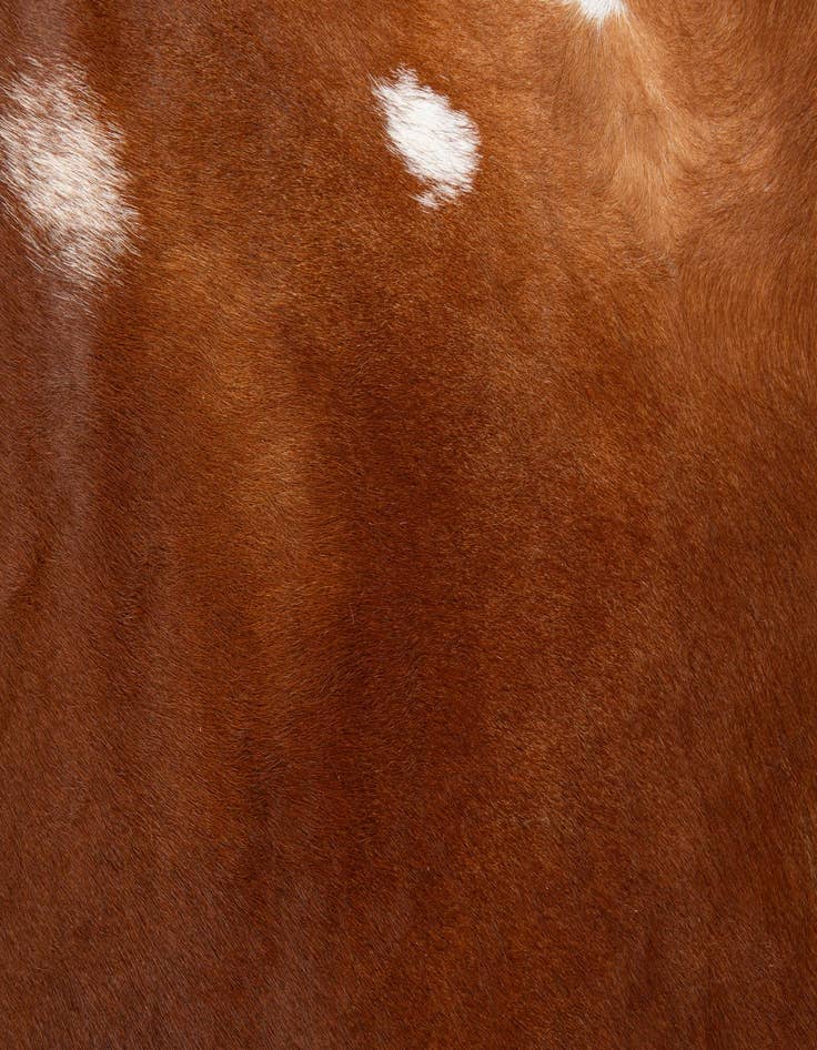 Detail image of 6' 5 x 7' 3 Cowhide Leather Square Rug