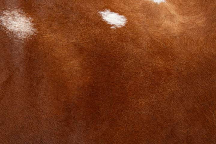 6' 5 x 7' 3 Cowhide Leather Square Rug