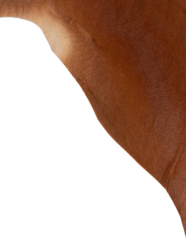 Detail image of 6' 7 x 7' 1 Cowhide Leather Square Rug