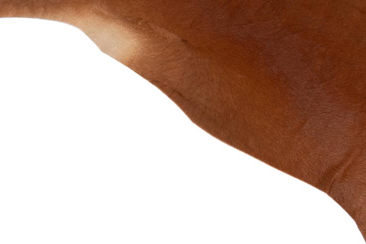 Detail image of 6' 7 x 7' 1 Cowhide Leather Square Rug
