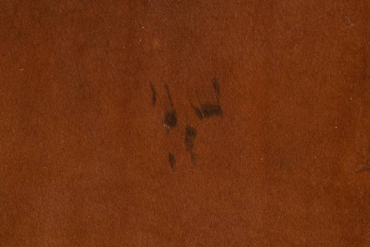 Detail image of 6' 7 x 7' 1 Cowhide Leather Square Rug