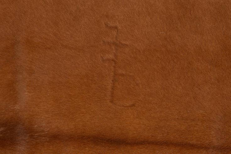Detail image of 5' 10 x 6' 7 Cowhide Leather Square Rug