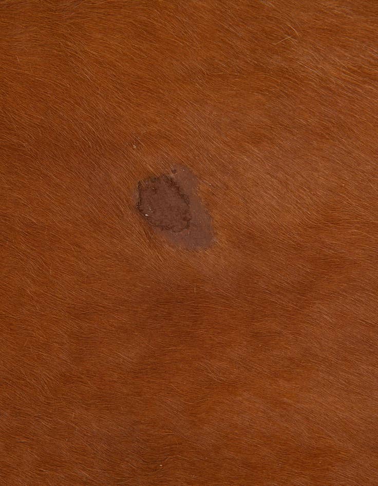 Detail image of 6' 5 x 7' 2 Cowhide Leather Square Rug