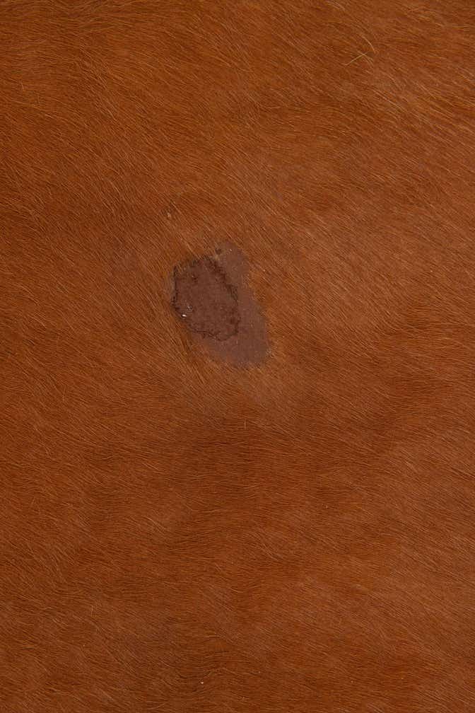 6' 5 x 7' 2 Cowhide Leather Square Rug