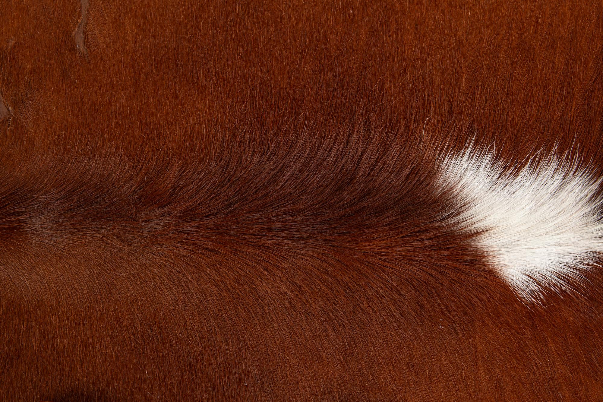 5' 5 x 5' 5 Cowhide Leather Square Rug