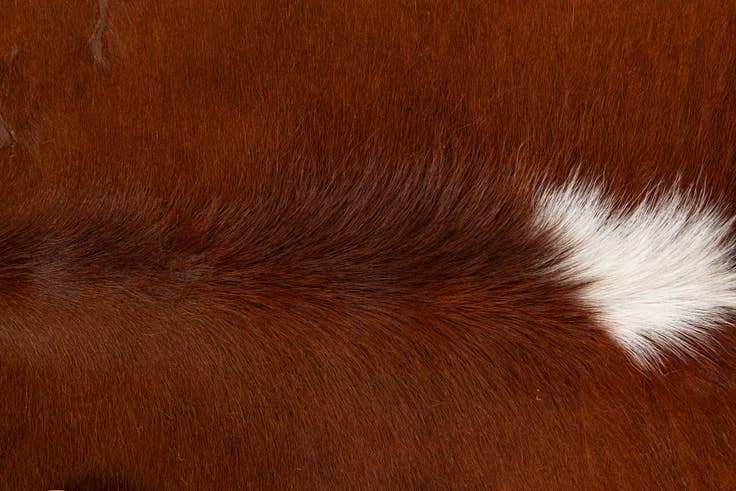 Detail image of 5' 5 x 5' 5 Cowhide Leather Square Rug