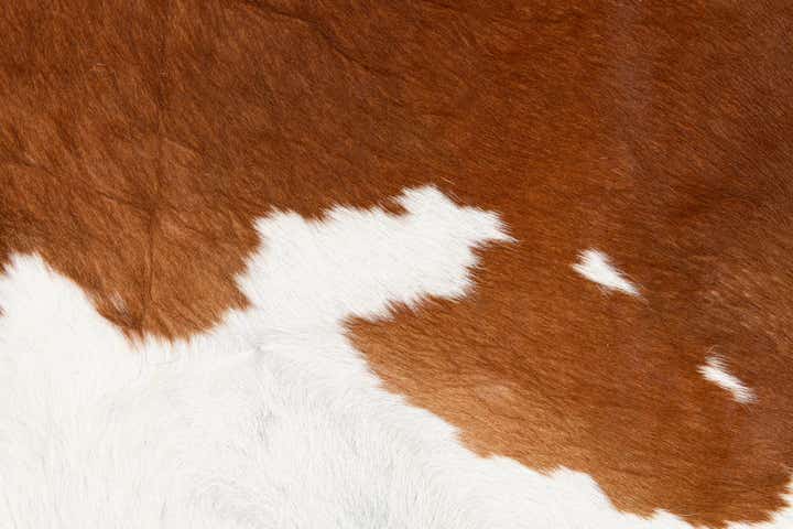 6' 2 x 6' 8 Cowhide Leather Square Rug