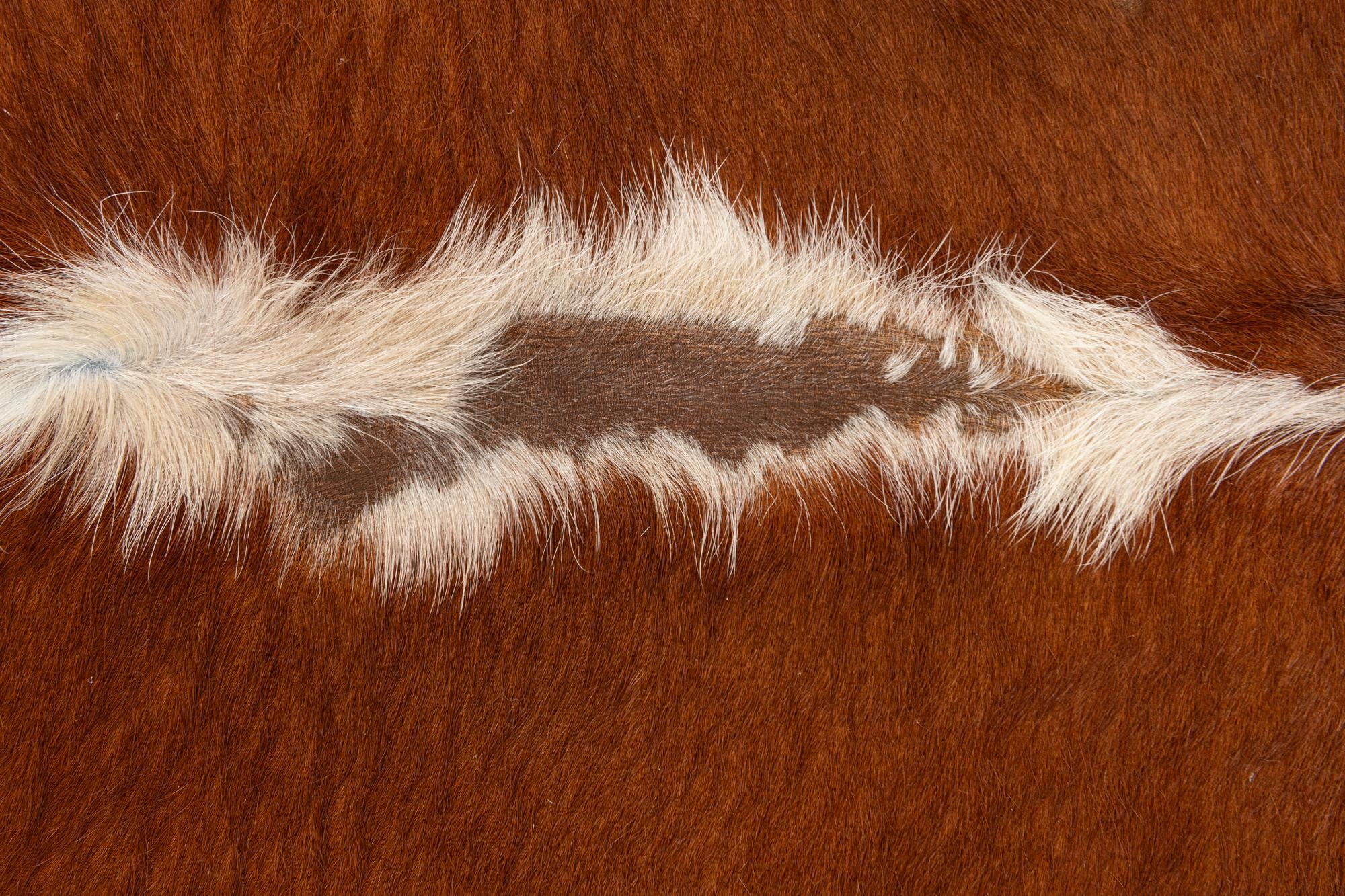 5' 2 x 5' 4 Cowhide Leather Square Rug