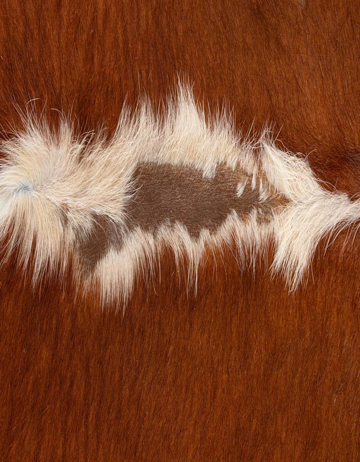Detail image of 5' 2 x 5' 4 Cowhide Leather Square Rug