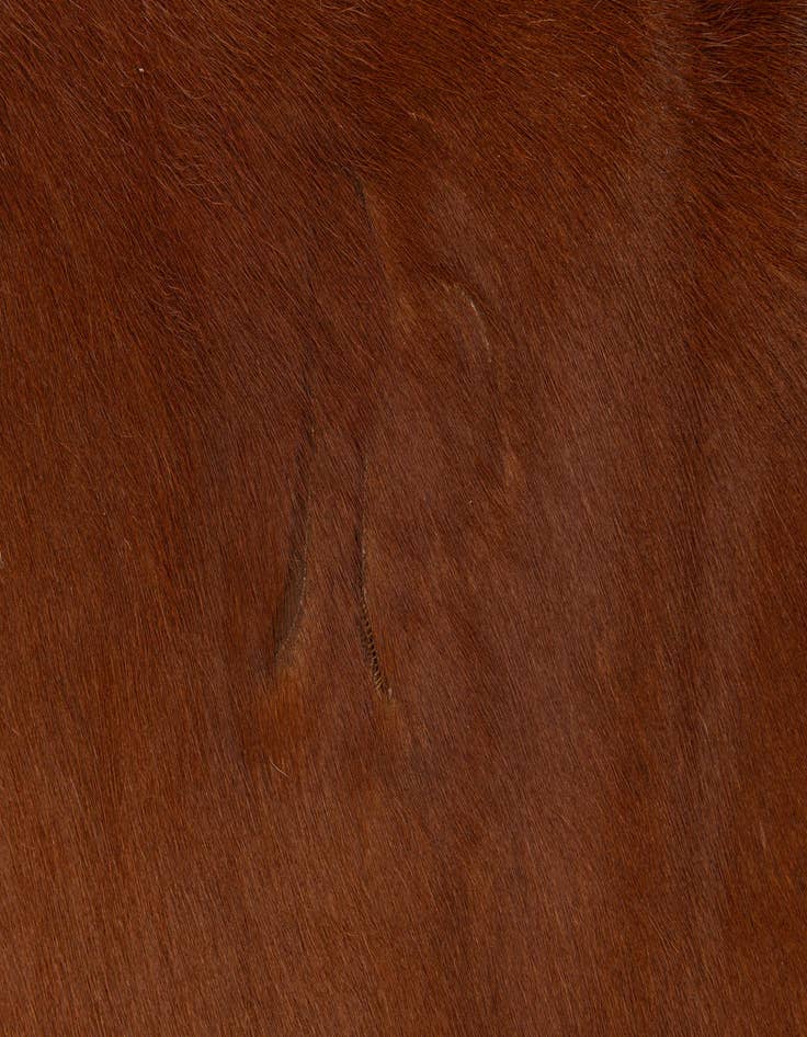 Detail image of 6' 2 x 6' 2 Cowhide Leather Square Rug