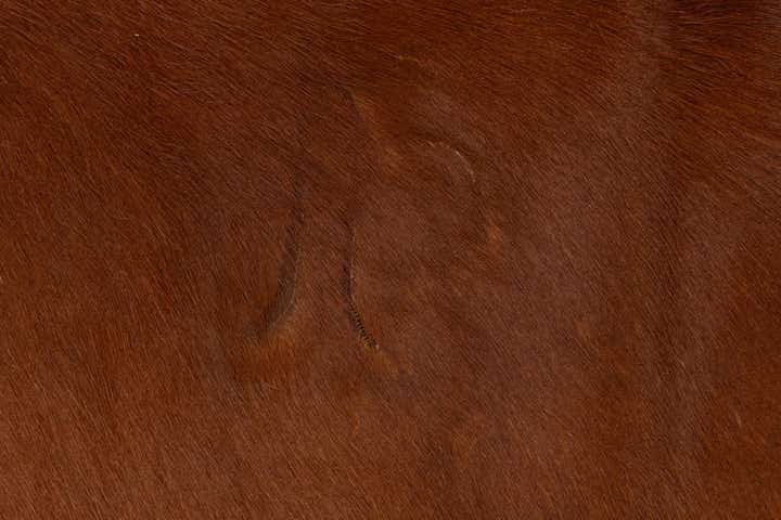 6' 2 x 6' 2 Cowhide Leather Square Rug