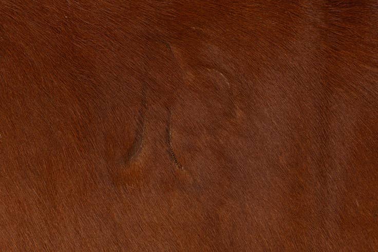 Detail image of 6' 2 x 6' 2 Cowhide Leather Square Rug