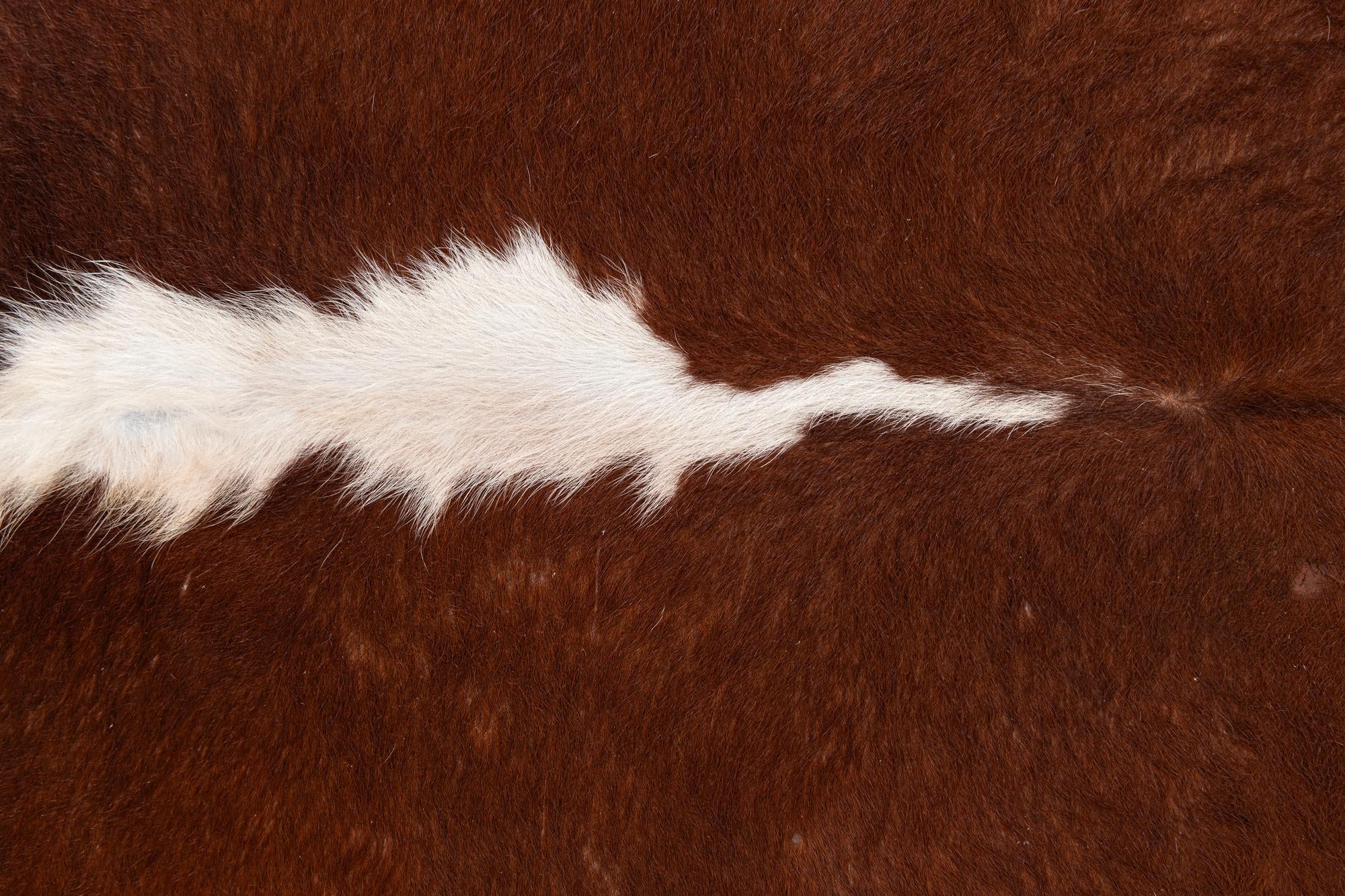 5' 5 x 5' 7 Cowhide Leather Square Rug