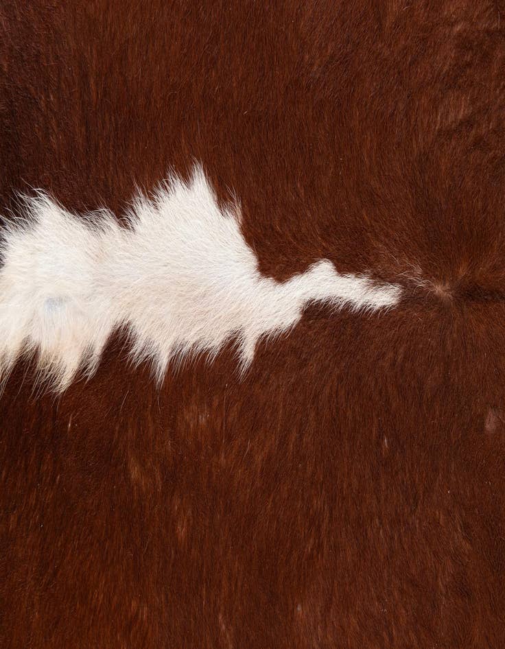 Detail image of 5' 5 x 5' 7 Cowhide Leather Square Rug