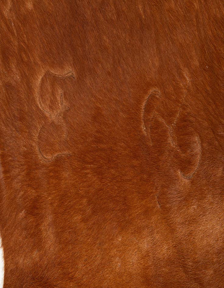 Detail image of 6' 11 x 7' 1 Cowhide Leather Square Rug