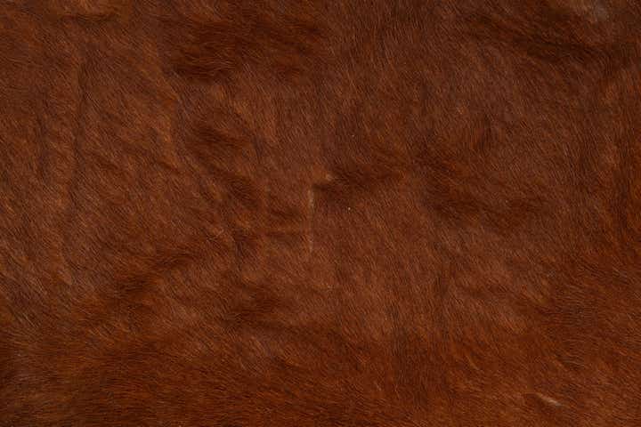 6' 7 x 6' 8 Cowhide Leather Square Rug